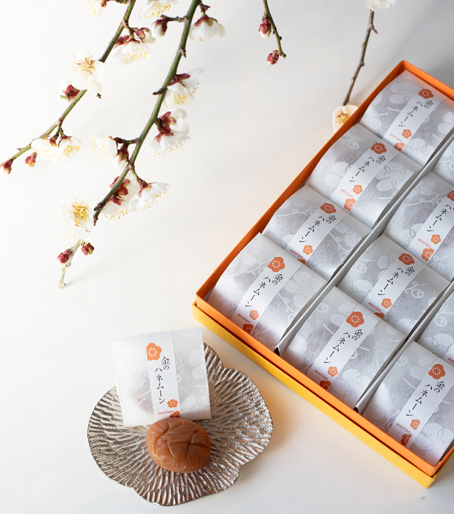 フロムアンス　梅　30粒×2箱 ふるさと納税 「紀州産 南高梅 樽底 つぶれ梅 しそ風味 3kg （500g × 6